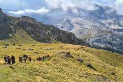 05 naša četica, v ozadju Marmolada