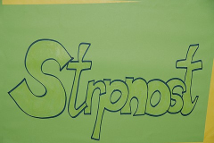 strpnost